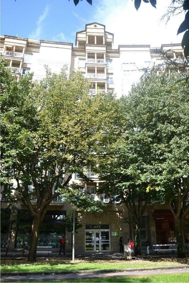 Pioxii Center * San Sebastián